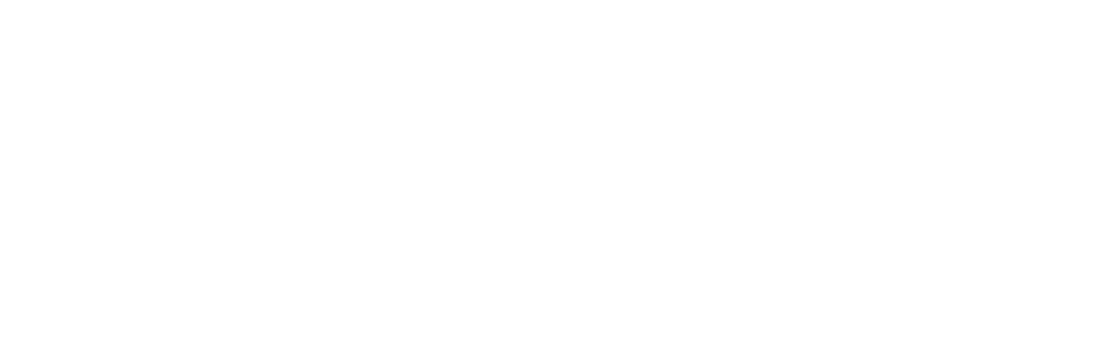 TragWerk Software